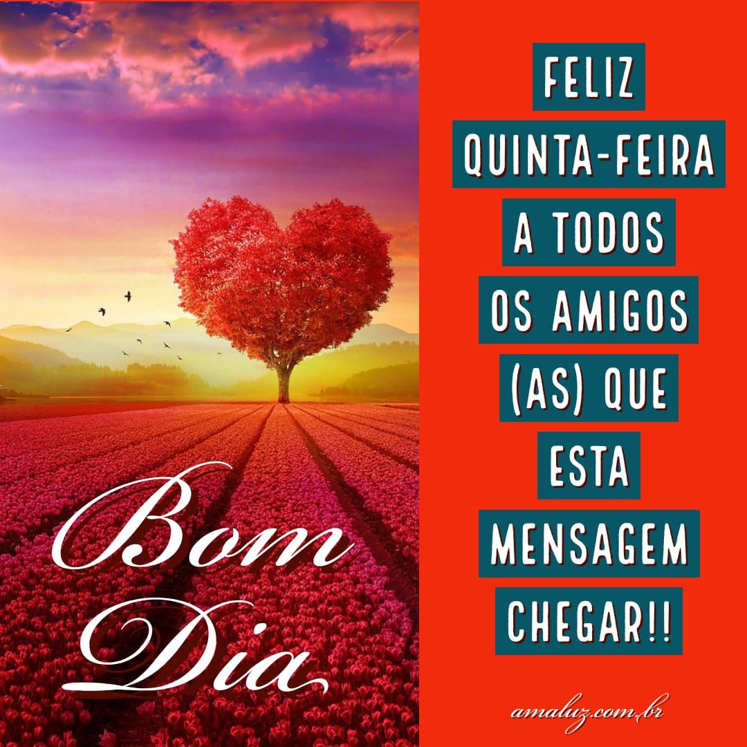 Imagens lindas de bom dia e feliz quinta feira