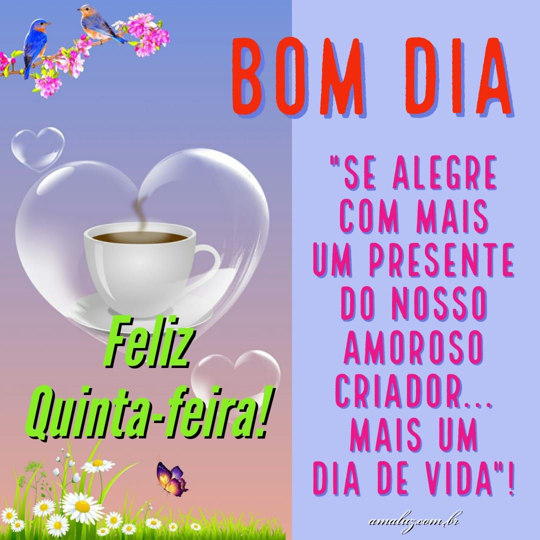 Imagens lindas e especiais de bom dia quinta feira