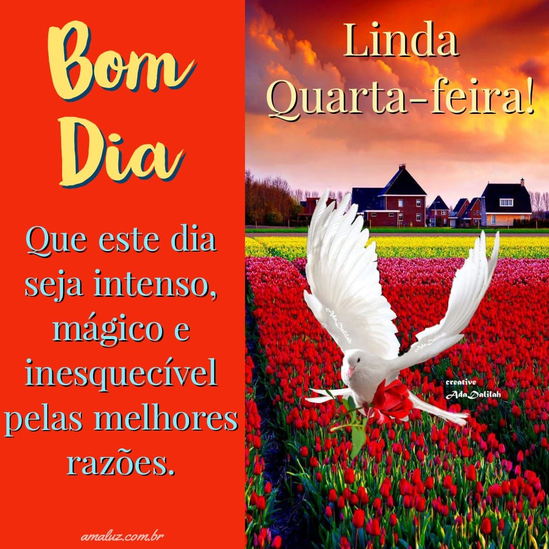 Linda quarta feira bom dia