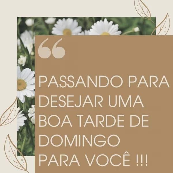 Passando para desejar uma boa tarde de domingo