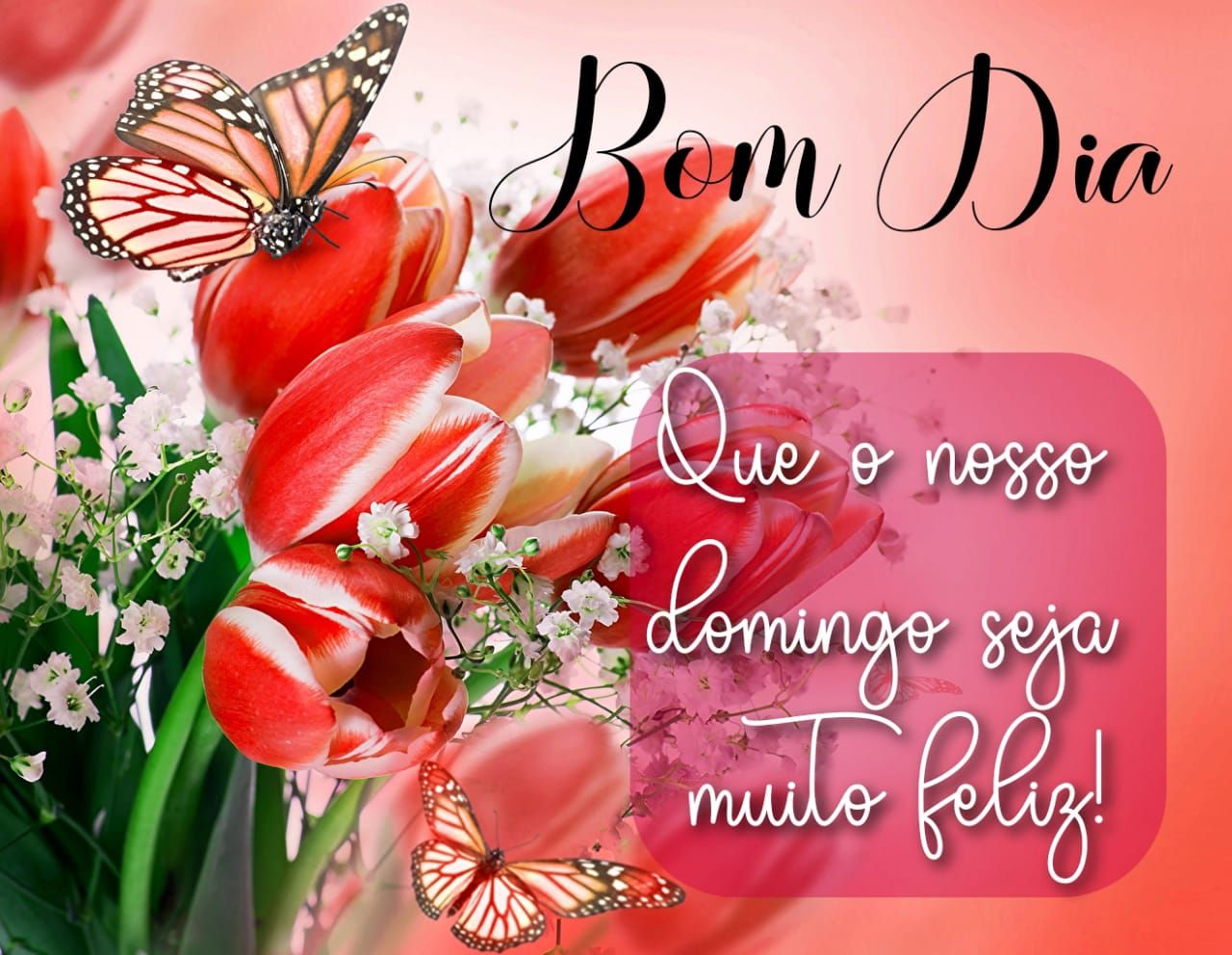 Que o nosso domingo seja muito feliz