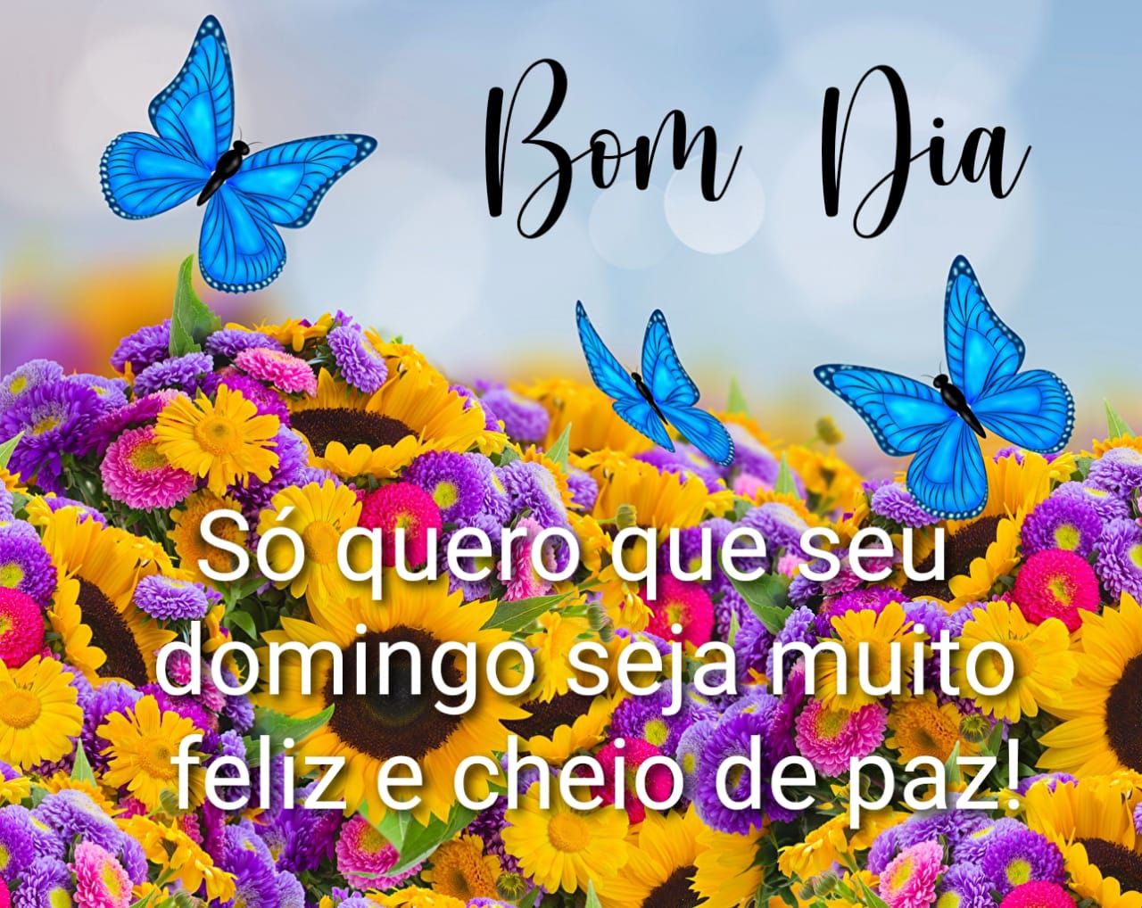 Só quero que seu domingo seja feliz