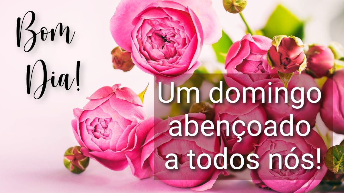 Um domingo abençoado a todos nós bom dia