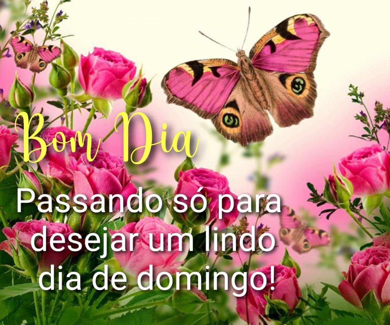 Um lindo dia de domingo bom dia