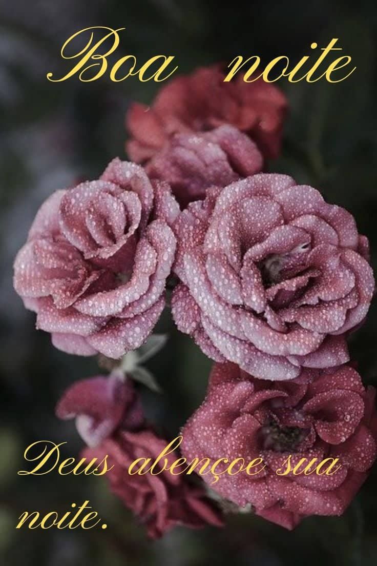 Boa noite Deus abençoe sua noite