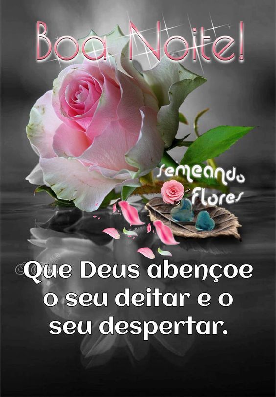 Boa noite família linda!