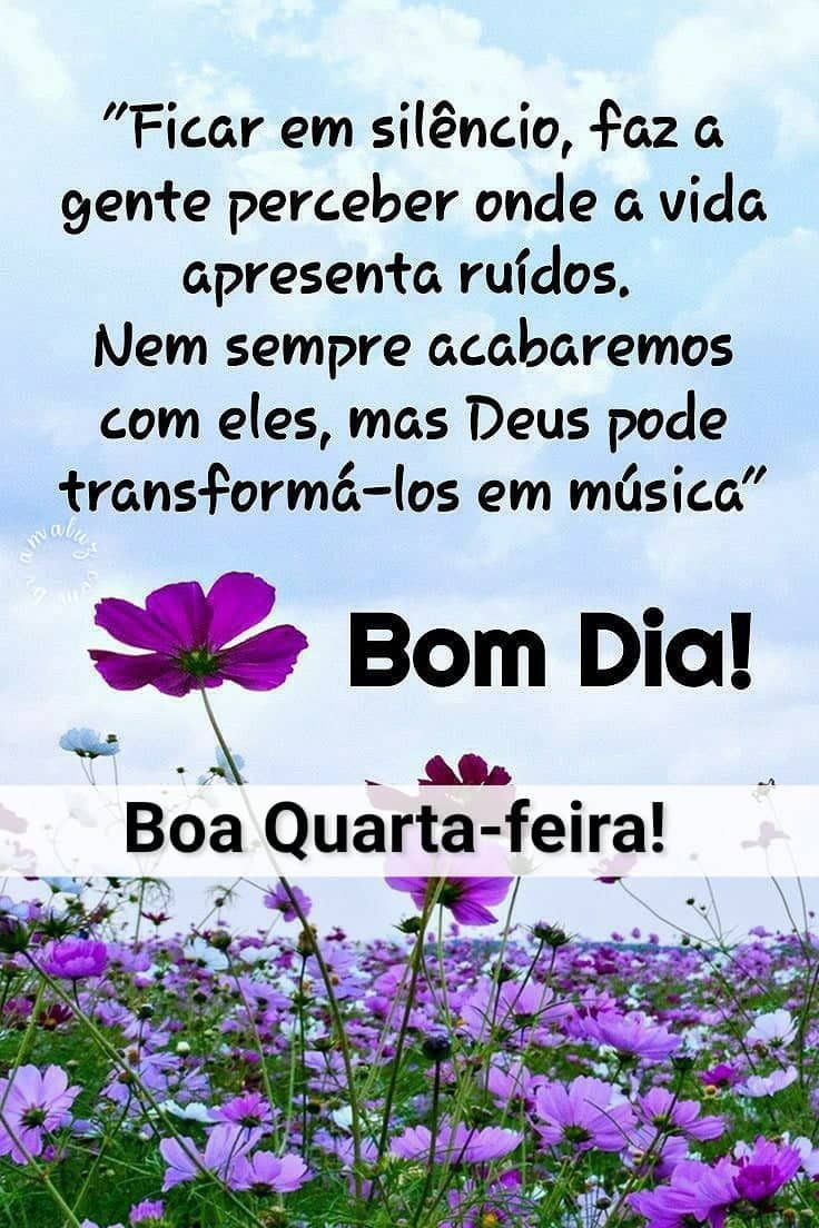 Boa quarta feira bom dia