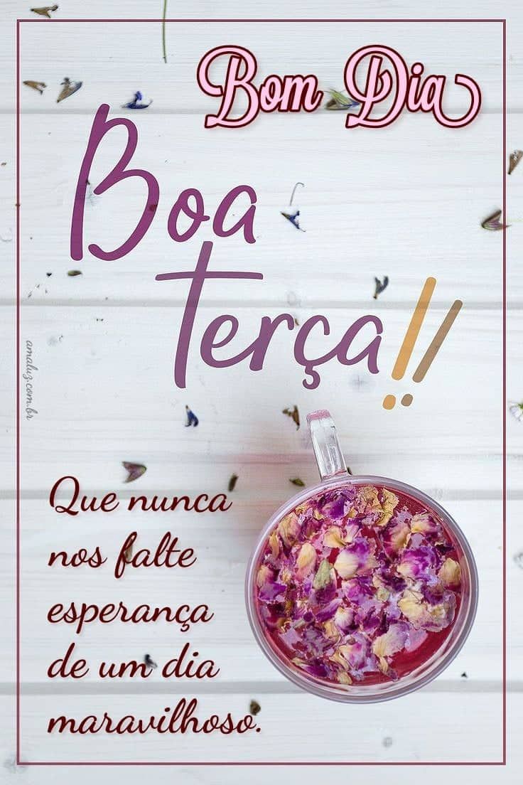 Boa terça feira bom dia
