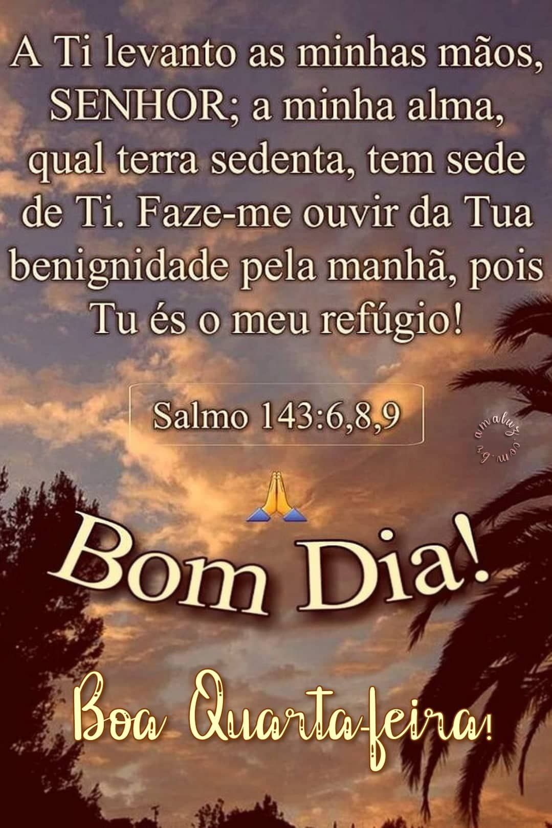 Bom dia boa quarta feira