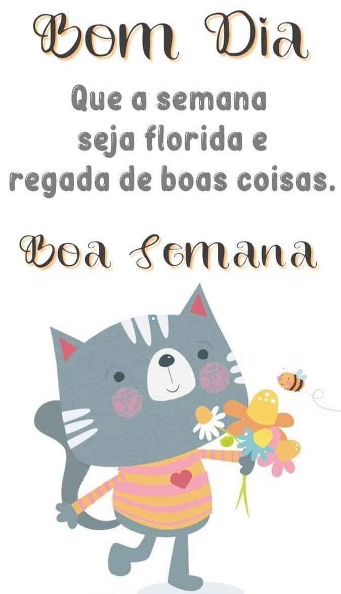 Bom dia boa semana florida