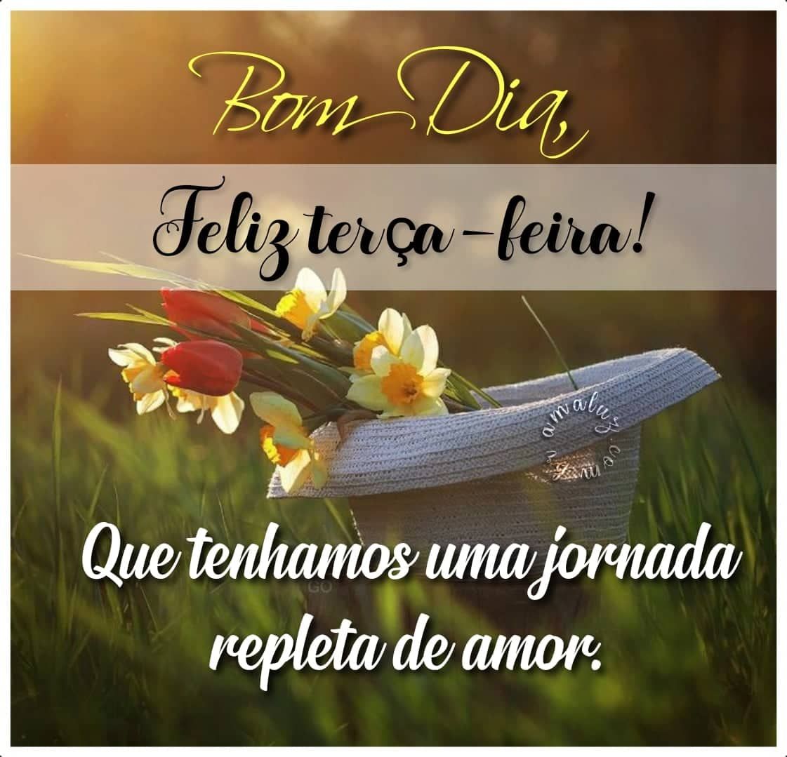 Bom dia com mensagens maravilhosas de feliz terça feira
