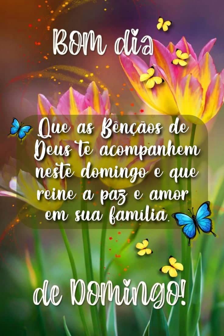 Bom dia de domingo para toda família