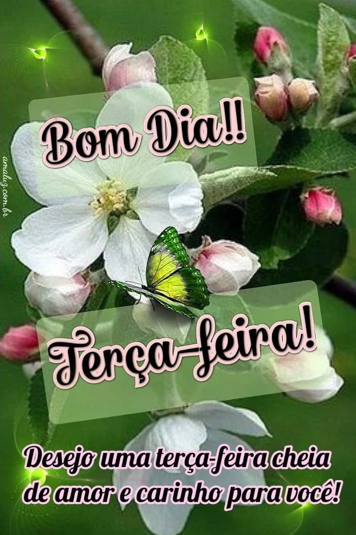 Bom dia de terça feira cheia de amor