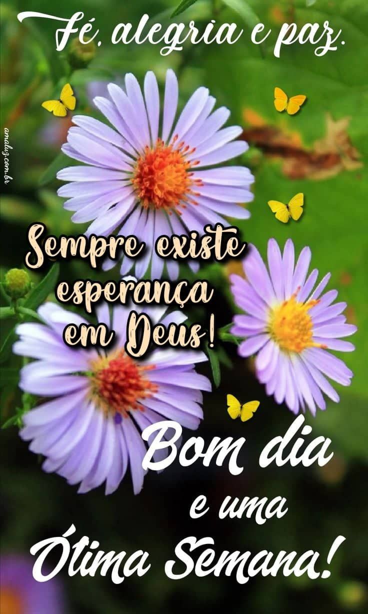 Bom dia e uma ótima semana