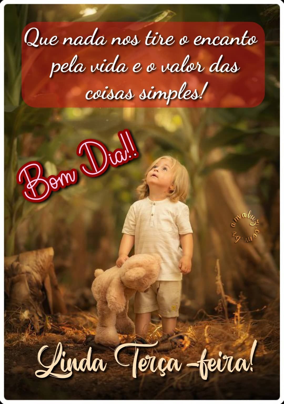 Bom dia encantador de terça feira