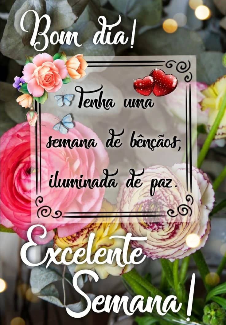 Bom dia excelente semana