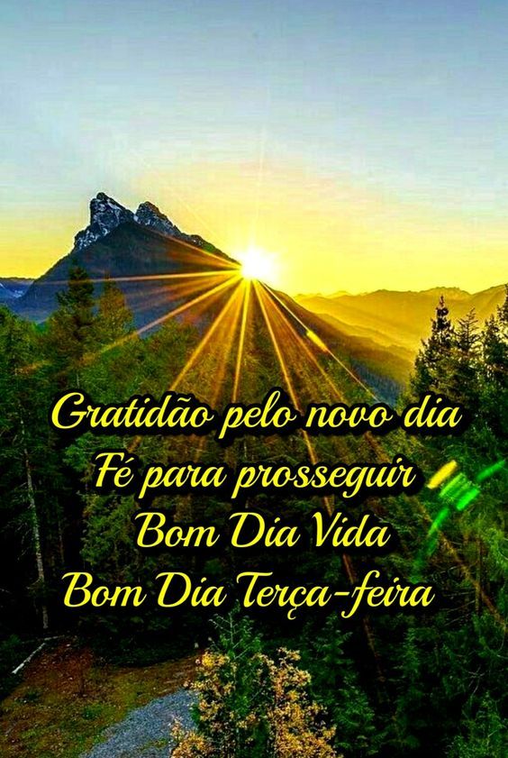 Bom dia, gratidão pelo novo dia e fé para prosseguir