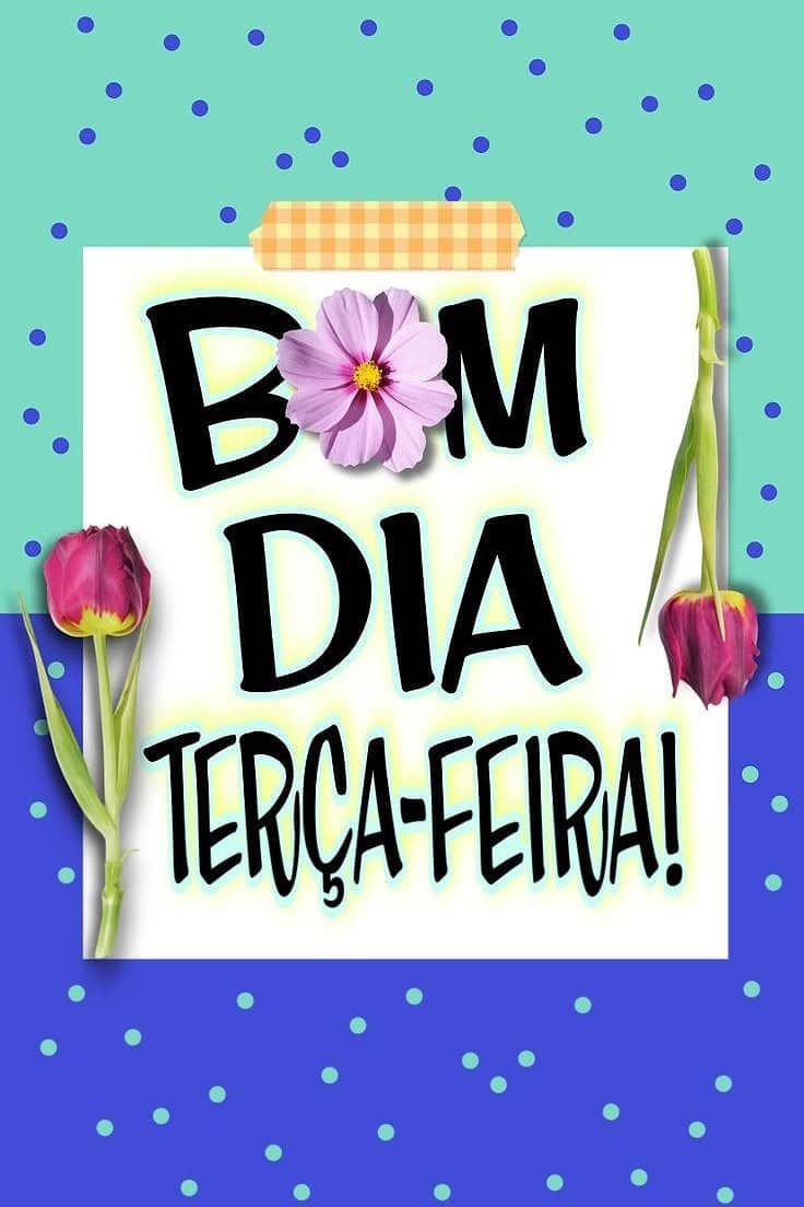 Bom dia hoje é terça feira