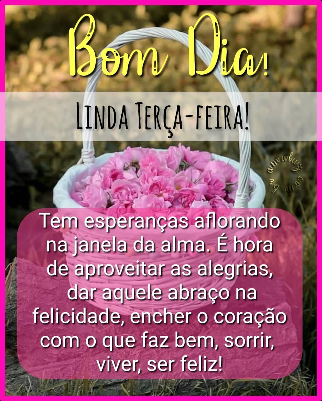 Bom dia linda terça feira com alegria