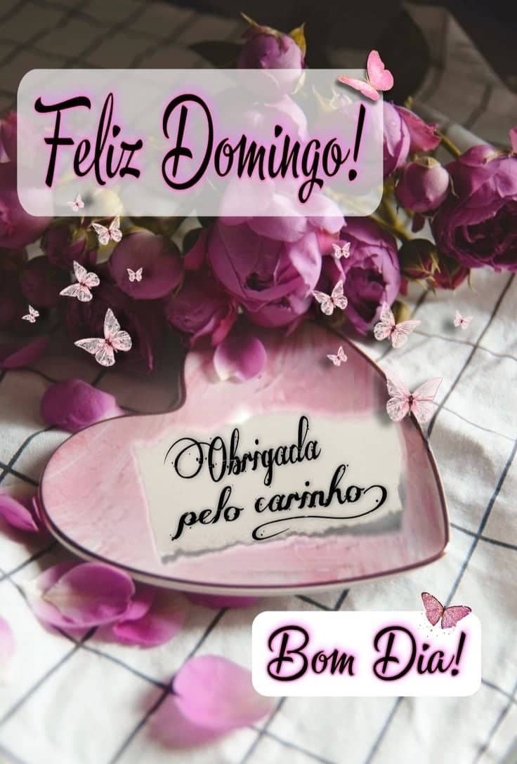 Bom dia obrigada pelo carinho de vocês feliz domingo