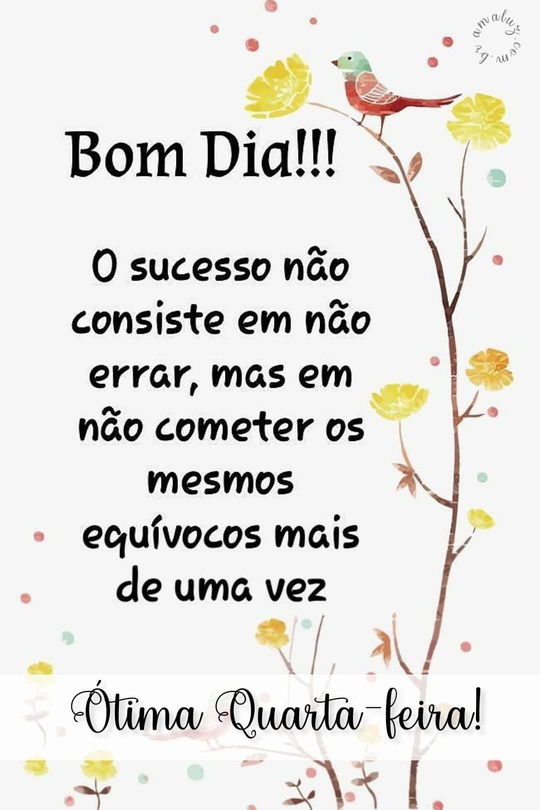 Bom dia ótima quarta feira