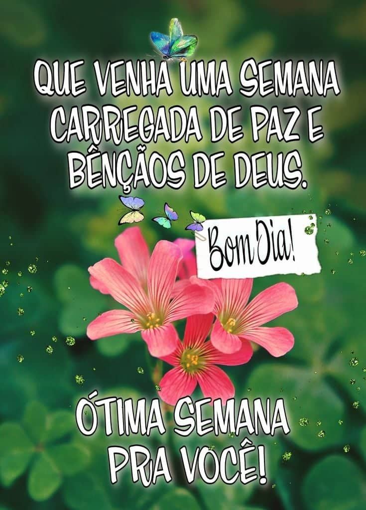 Bom dia ótima semana