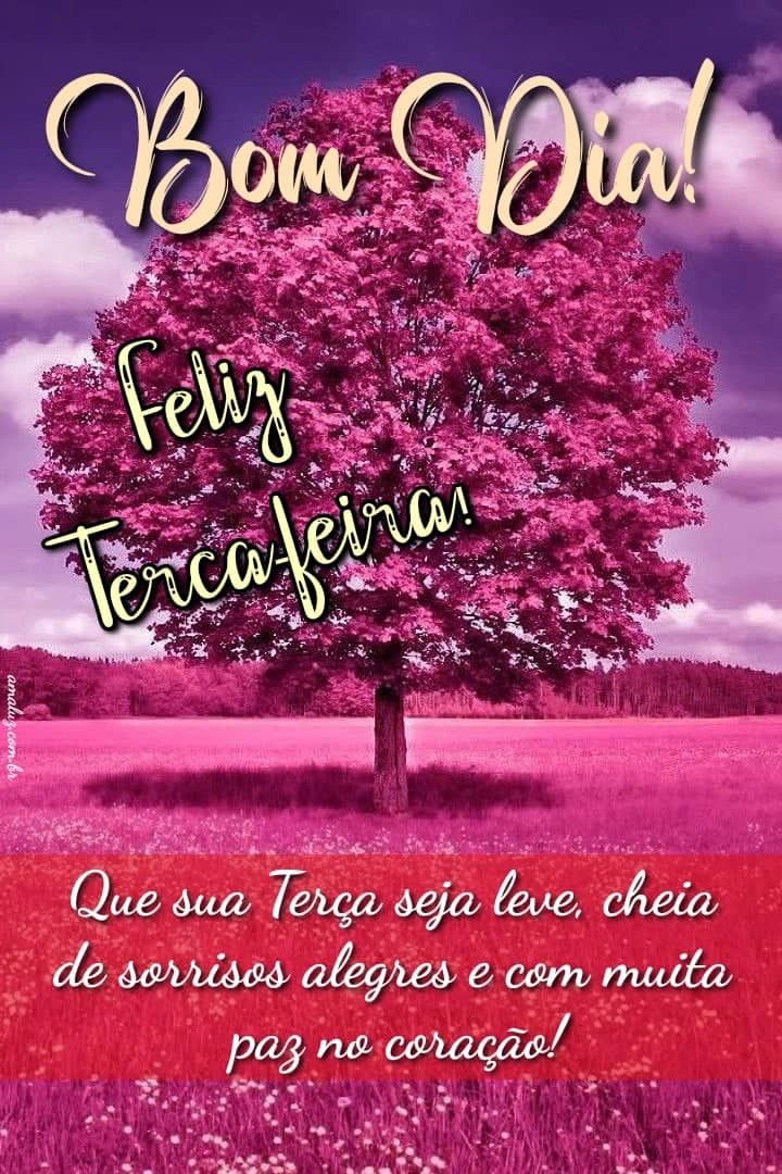 Bom dia para você e esta terça feira