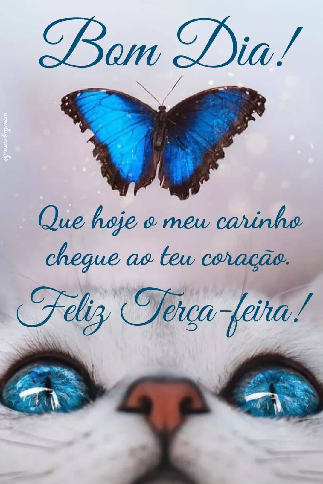 Bom dia terça feira mensagens cheias de amor e carinho