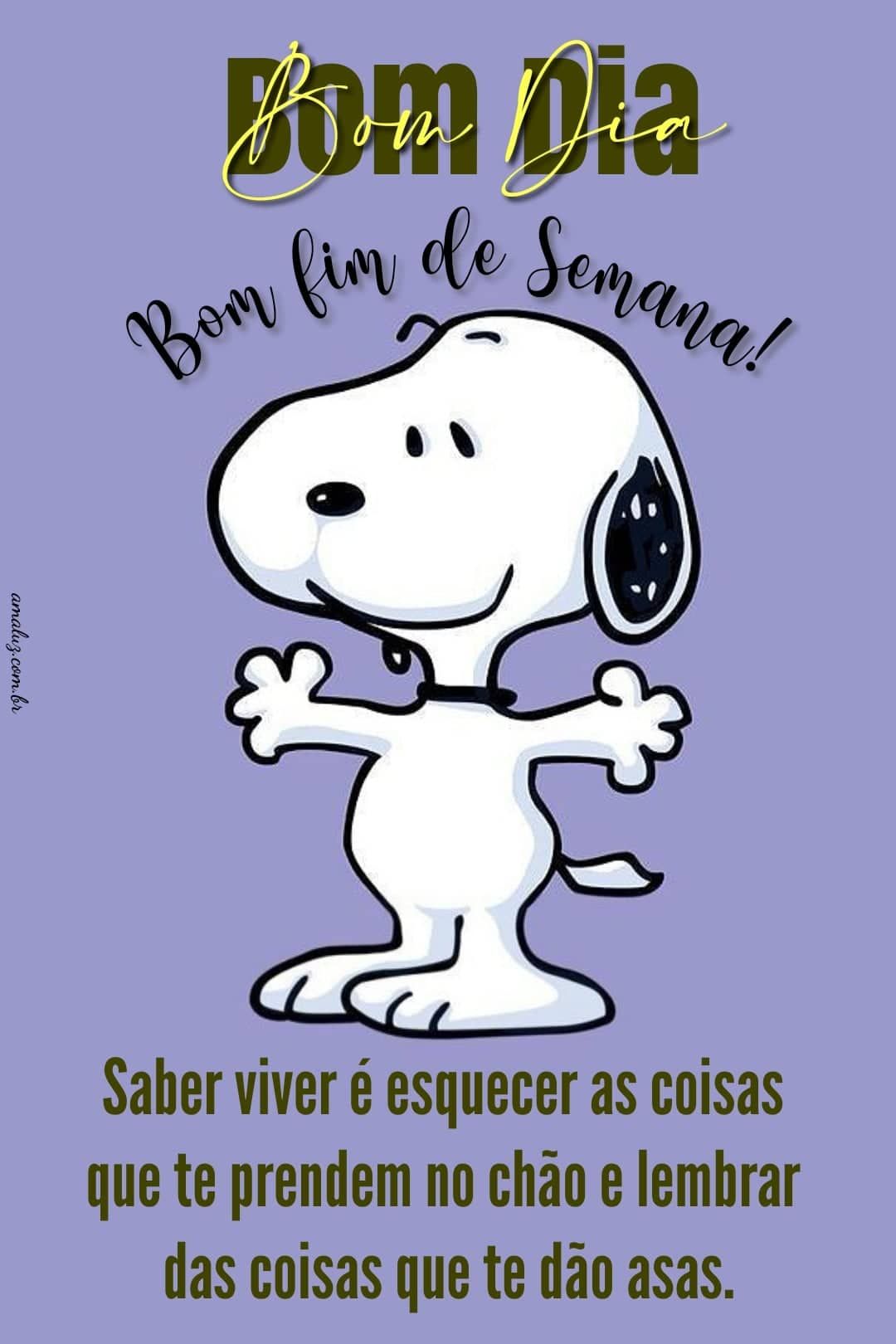 Bom dia um bom fim de semana para você