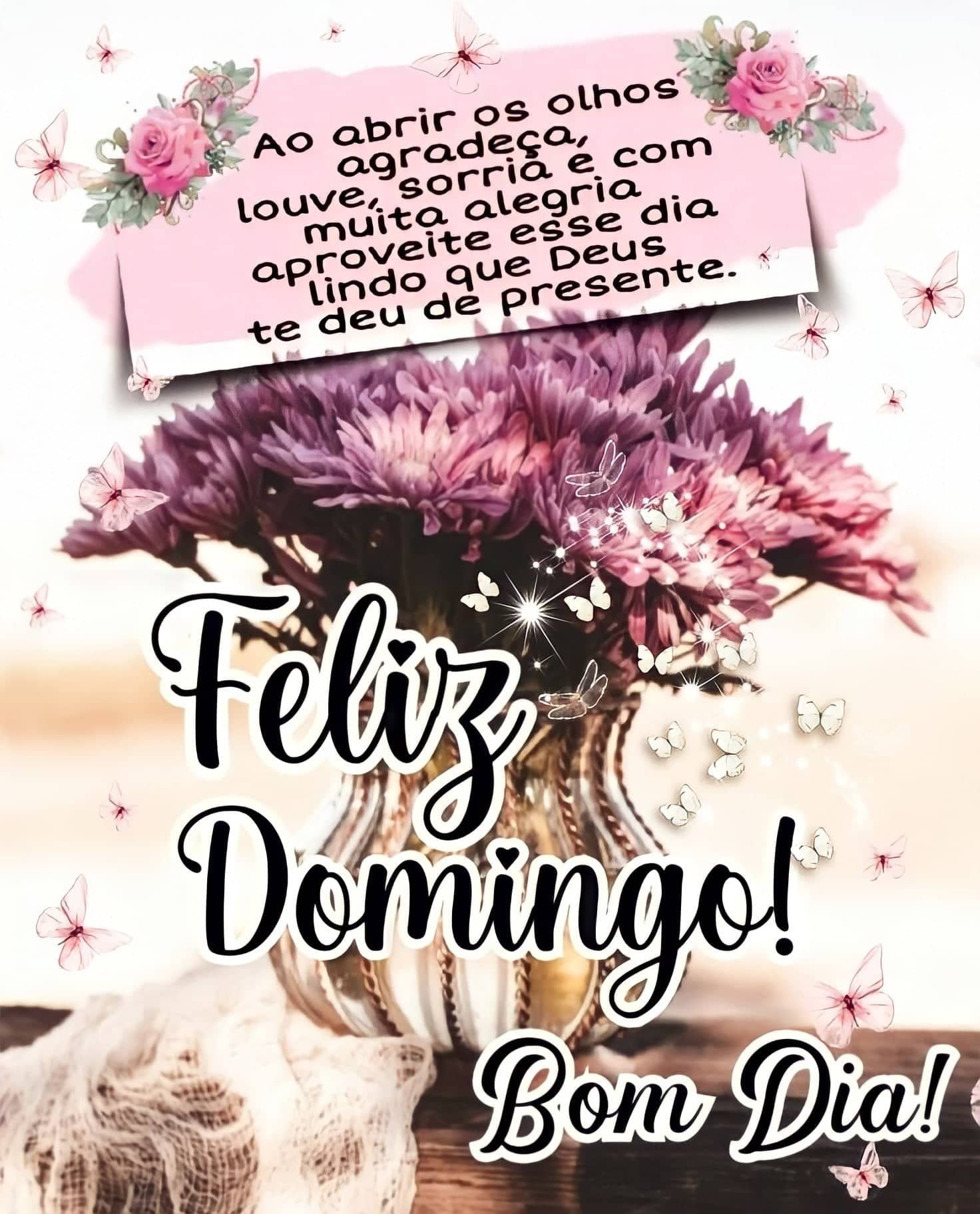 Feliz domingo bom dia