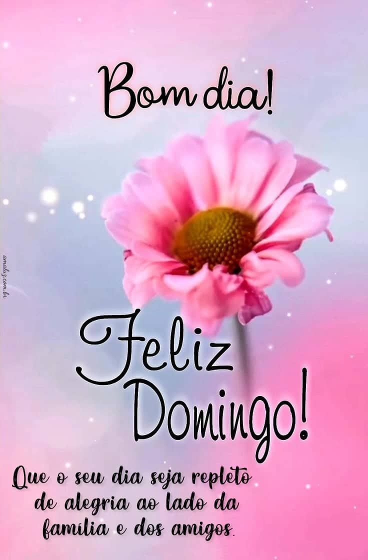 Feliz domingo família bom dia