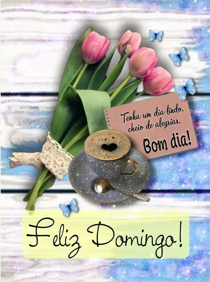 Feliz domingo tenha um bom dia