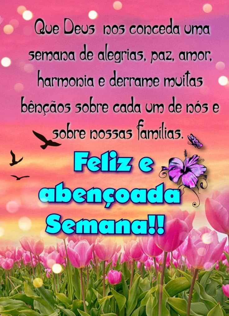Feliz e abençoada semana para você