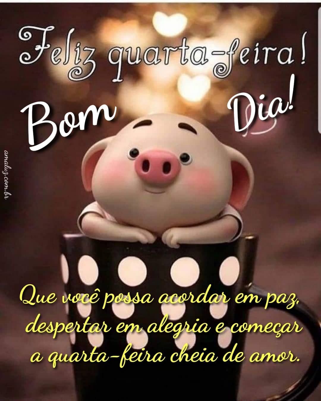 Feliz quarta feira bom dia