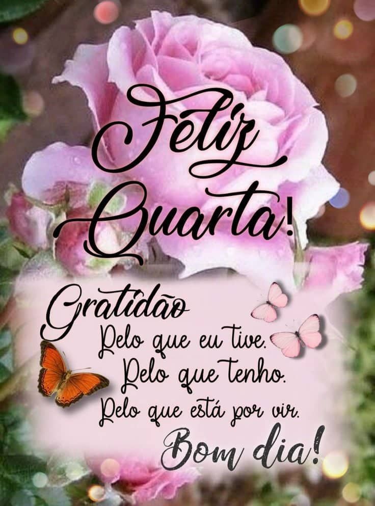 Feliz quarta feira com gratidão