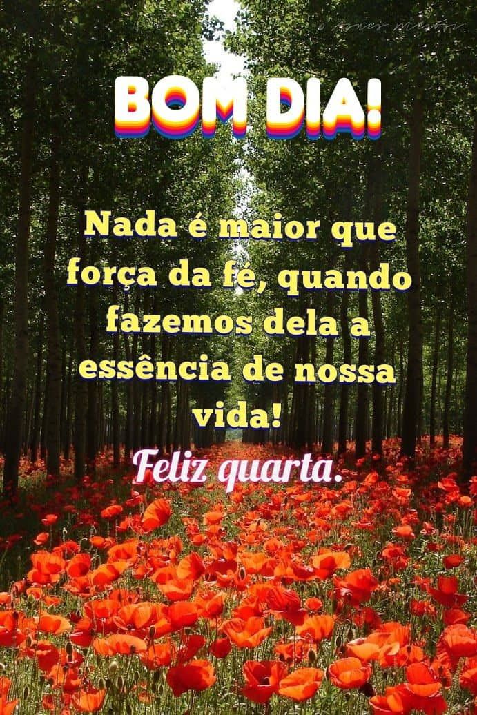 Feliz quarta feliz quarta