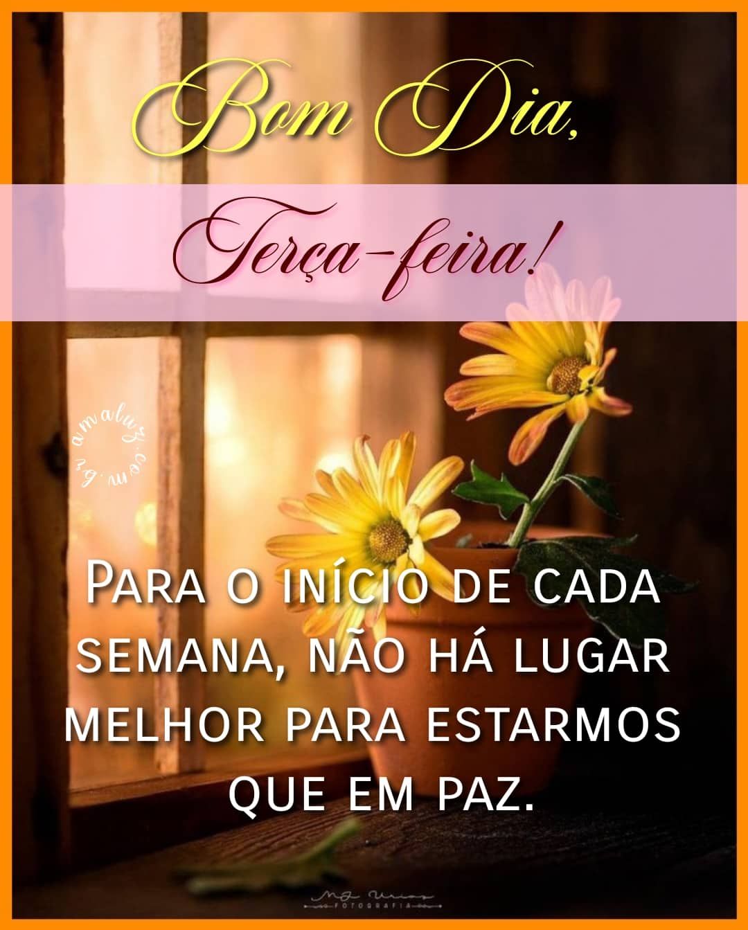 Feliz terça feira alegre com paz