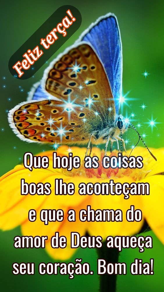 Feliz terça, que as coias boas hoje lhe aconteça