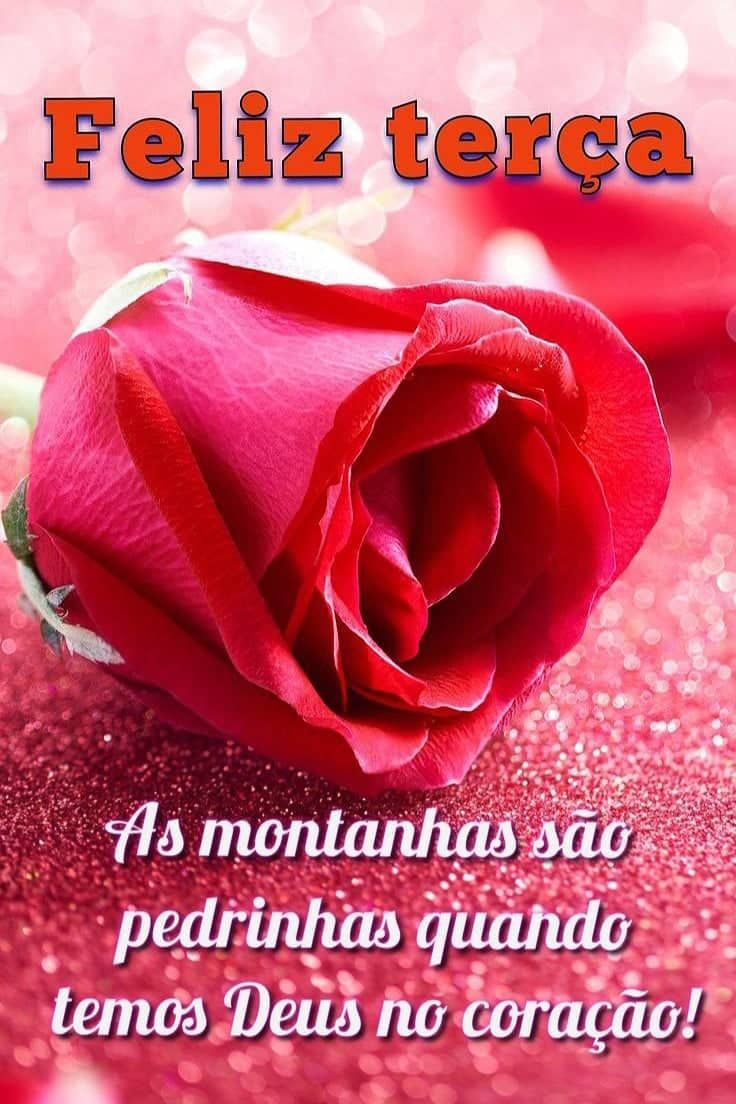 Feliz terça tenha um dia cheio de amor e carinho