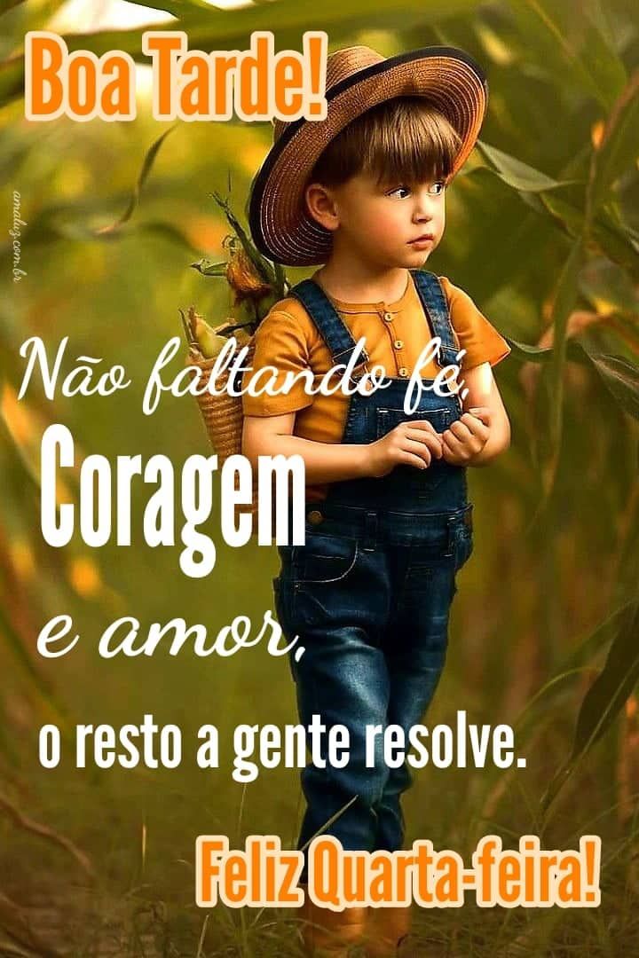 Frases de boa tarde quarta feira
