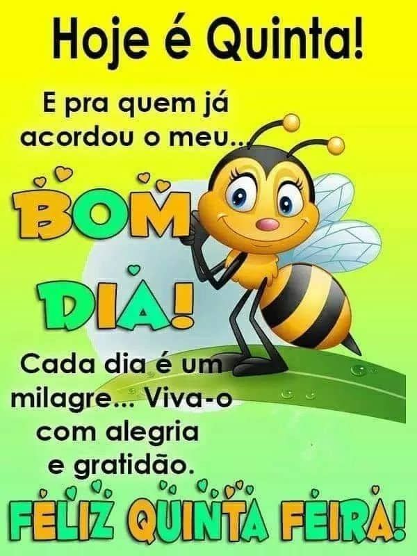 Hoje é quinta feira bom dia