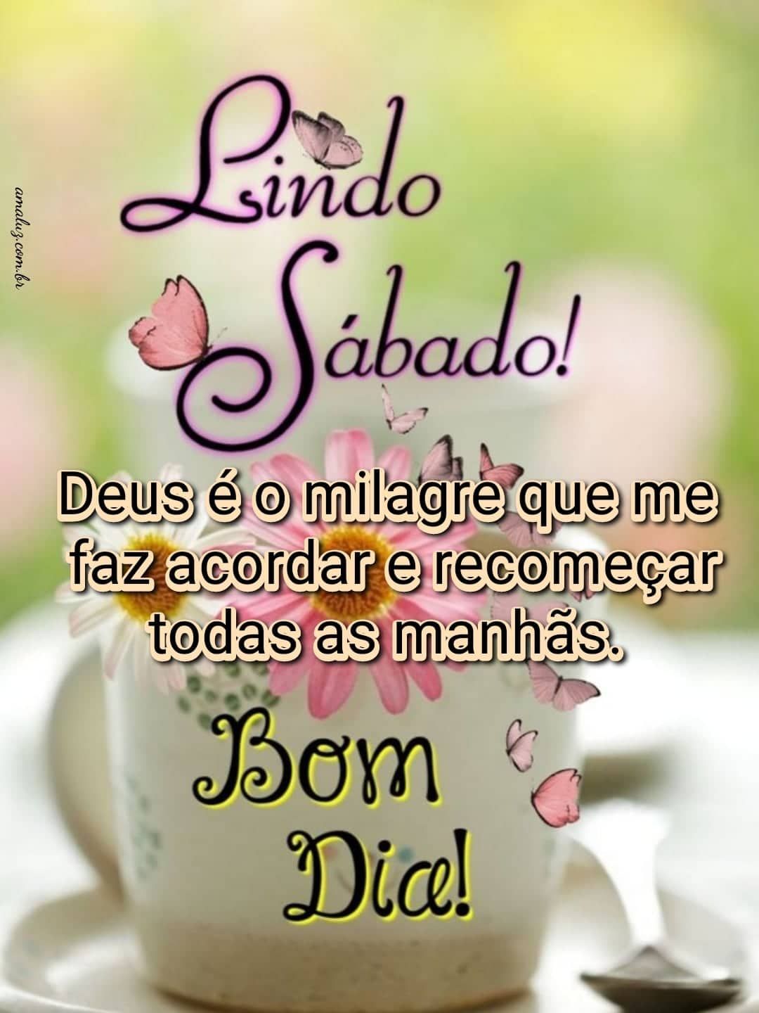 Lindo sábado bom dia