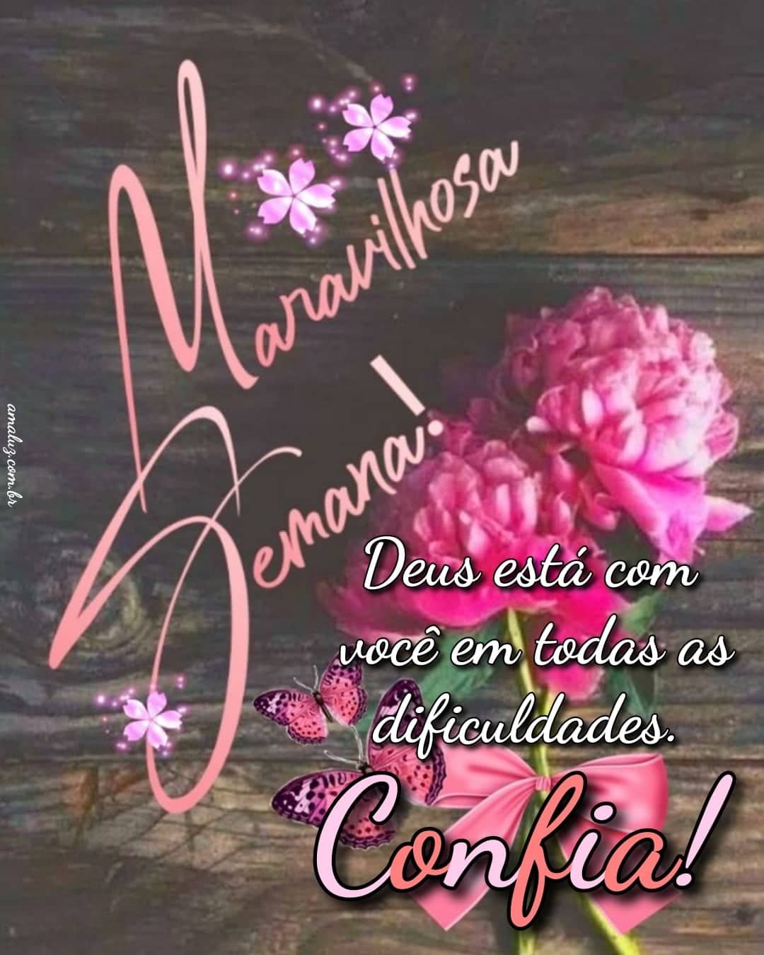 Maravilhosa semana bom dia