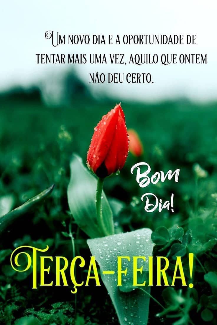 Mensagens de terça feira carinhosamente para Whatsapp