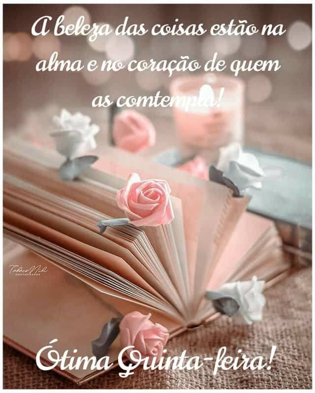 Ótima quinta feira