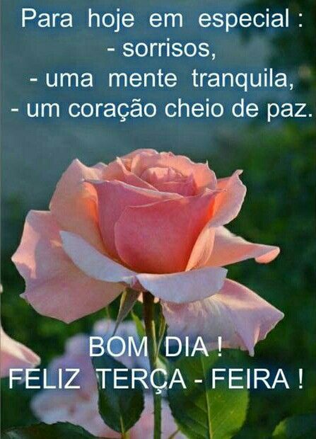 Para hoje sorrisos e uma feliz terça feira