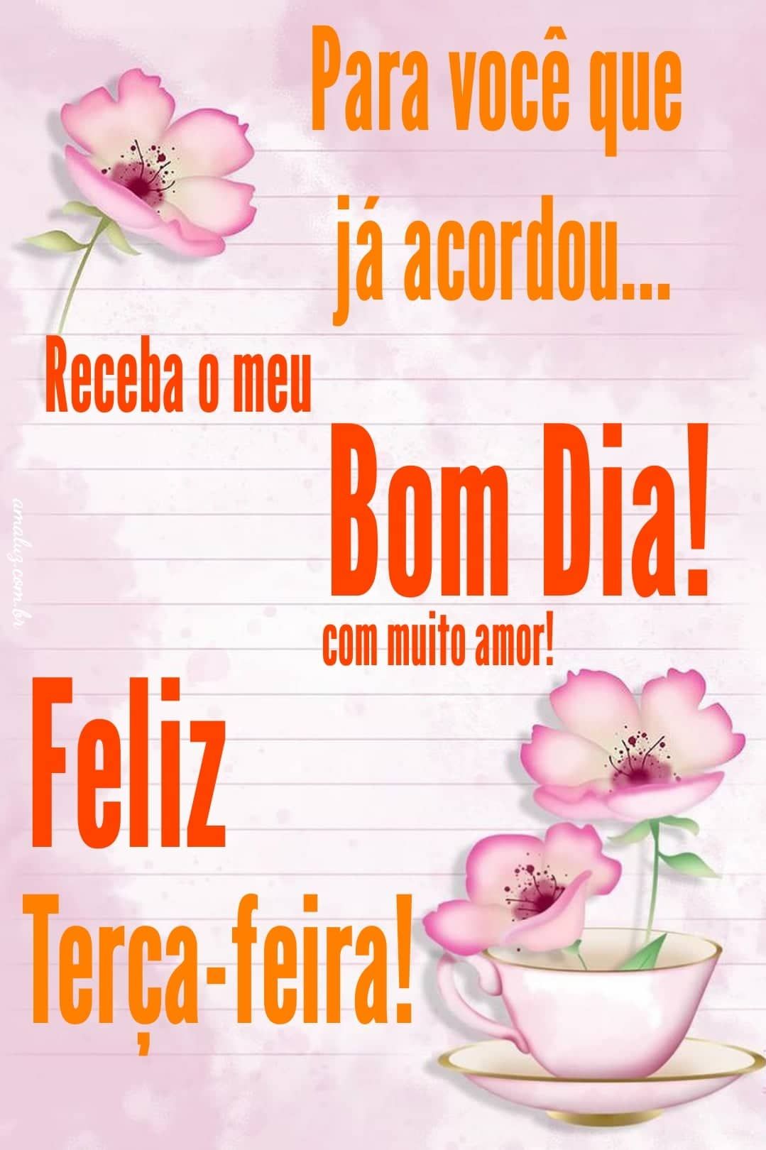 Para você que já acordou receba meu bom dia com muito amor