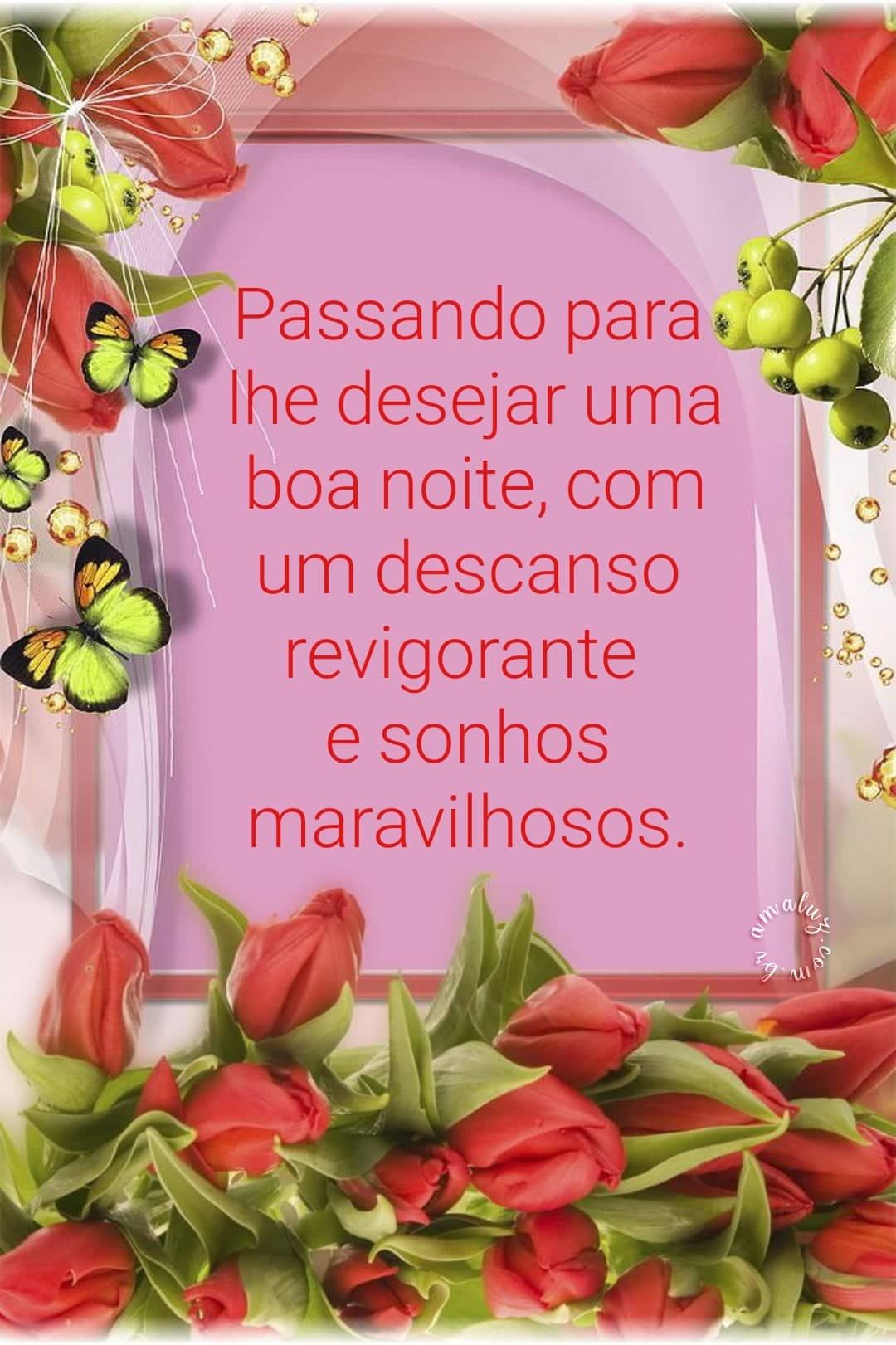 Passando para lhe desejar uma noite tranquila