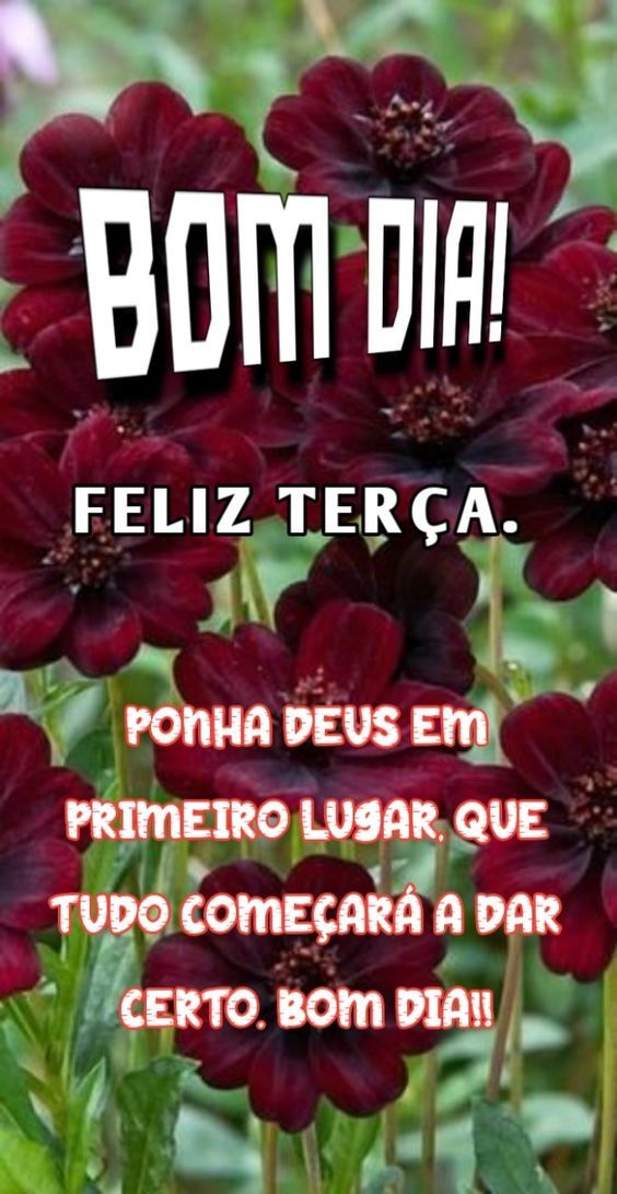 Ponha Deus em primeiro lugar e tenha uma feliz terça feira