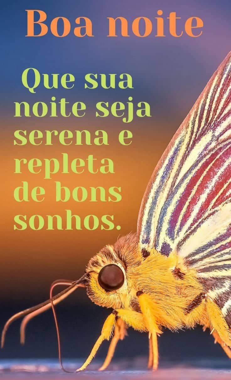 Que sua noite seja serena e calma